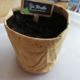 Těšíme se na jaro :-) - v ŠD pracujeme na vytvoření herbáře, kterým se budeme moci nejen kochat 