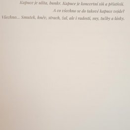 "Kapuce od mikiny" - lekce pro 6. a 7. ročník 