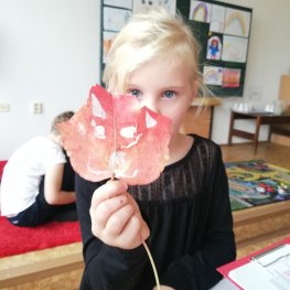 Karneval v maskách