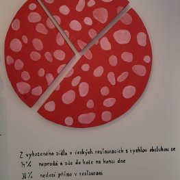 Ani sousto nazmar