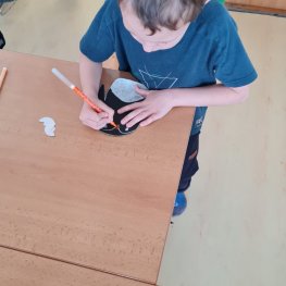 Týden polárních zvířat