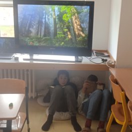 Well-being den v VII.E