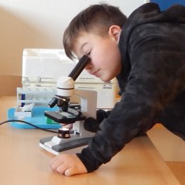 Vegetační pásma, buňky a naše lapbooky